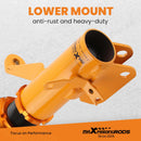 for Honda Integra DC5 01-06 Acura RSX 2002-2006 Coil Springs Struts Adj. Damper Coilovers Kits