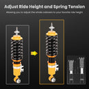 Complete Coilover Kit compatible for Mini Cooper R56 2007-2013 Adj Damper Shock Absorbers